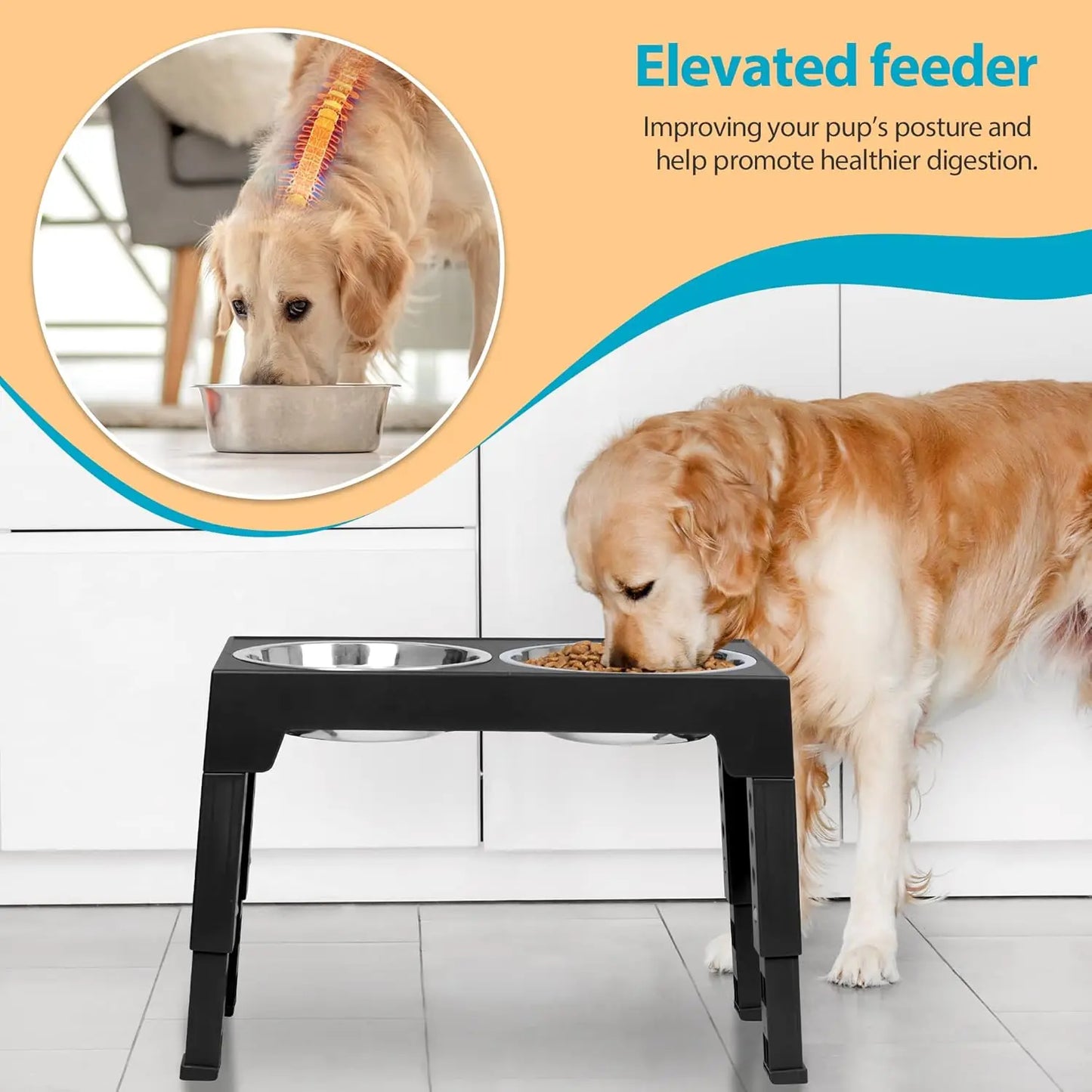ElevateFeast 3-in-1 Bowl