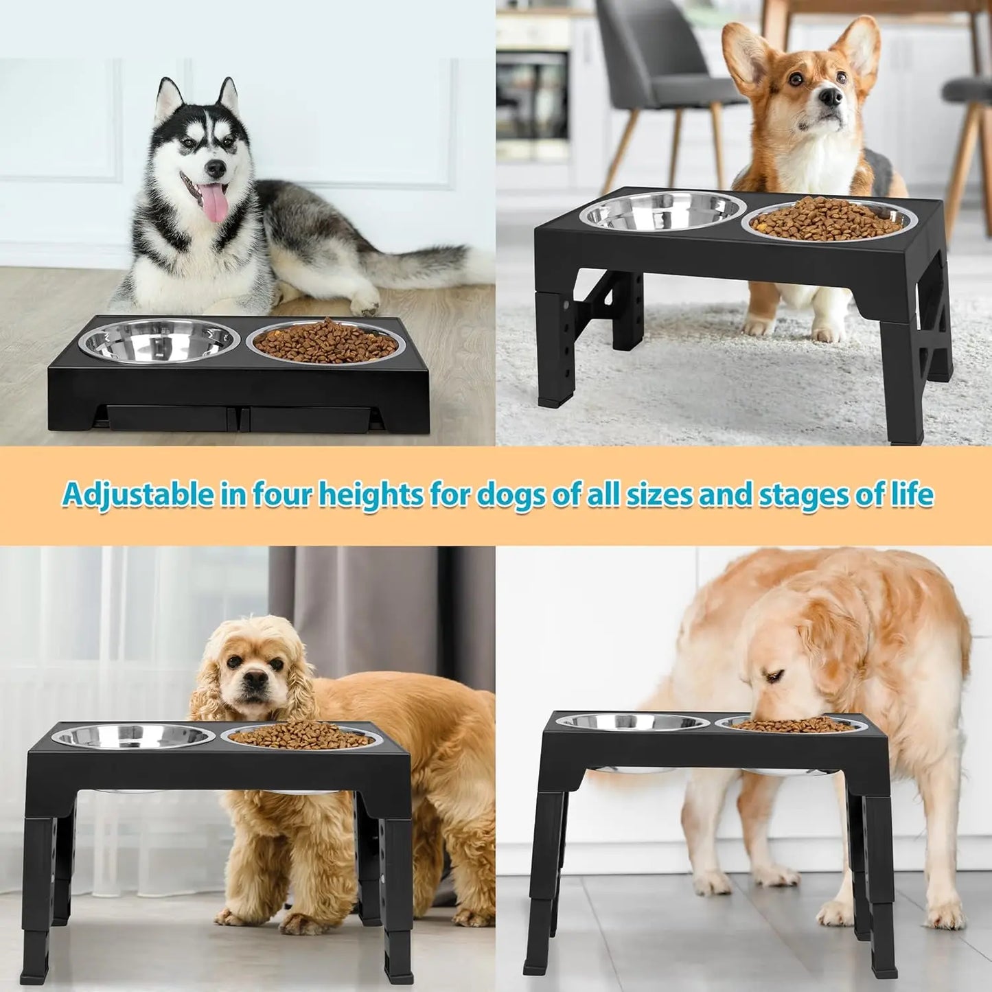 ElevateFeast 3-in-1 Bowl
