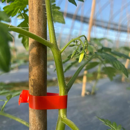 GrowTie™ Tapener Set