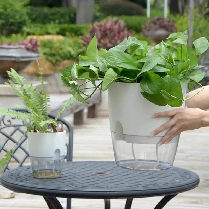 HydroGrow Duo: Self-Watering Planter