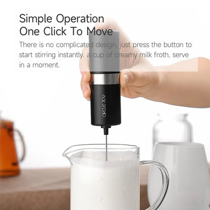 WhiskPro Electric Frother