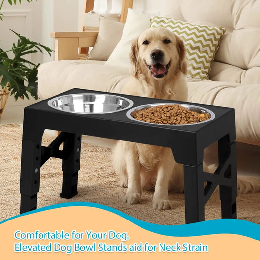 ElevateFeast 3-in-1 Bowl