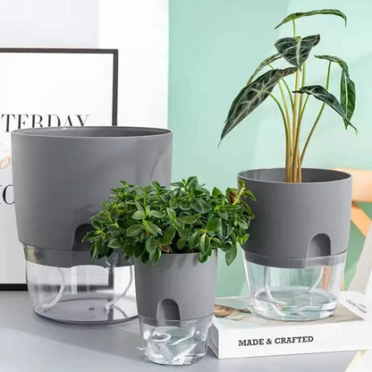 HydroGrow Duo: Self-Watering Planter