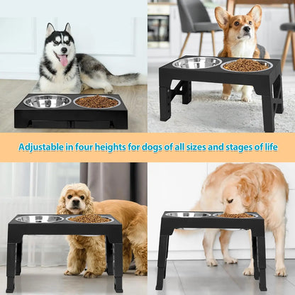 ElevateFeast 3-in-1 Bowl